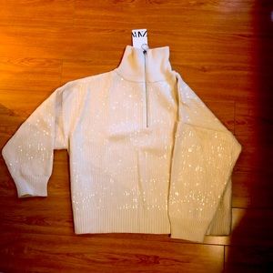 Zara Sequin Sweater